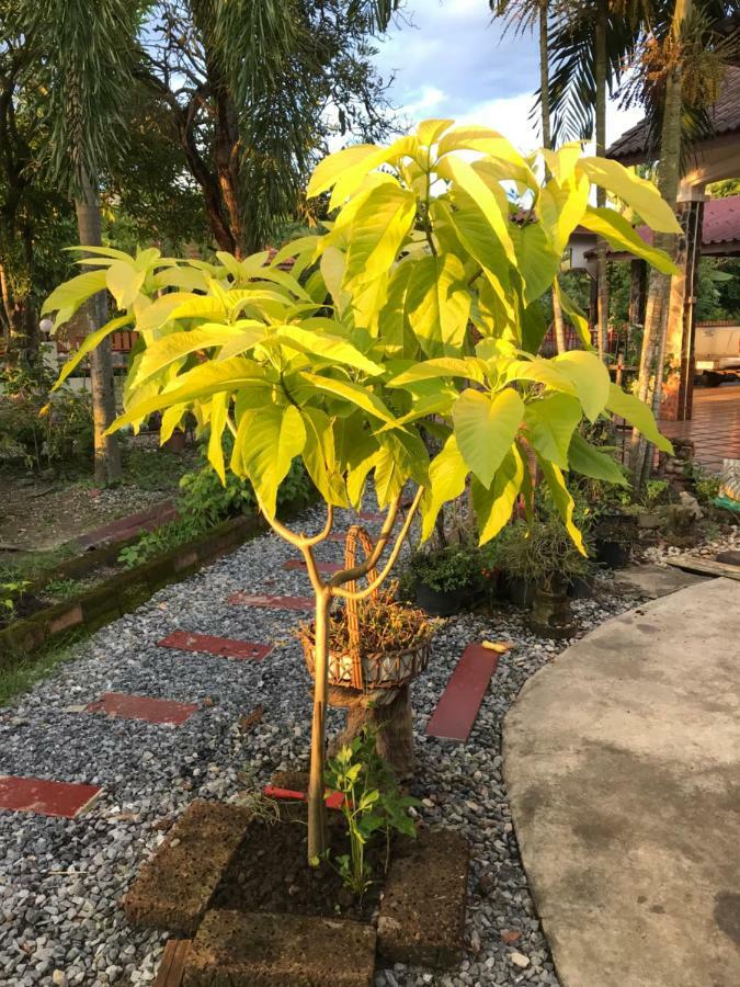 Appartamento Grandma'S House Nakhon Nayok Esterno foto